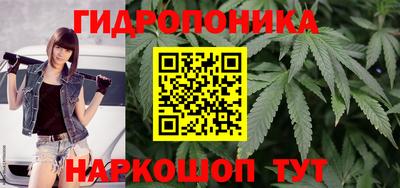 каннабис Будённовск