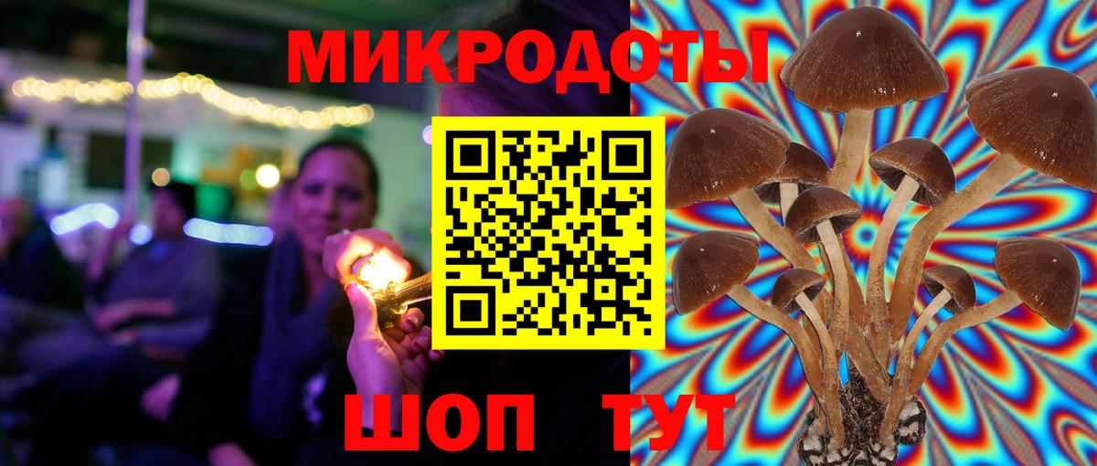 Псилоцибиновые грибы GOLDEN TEACHER Новочебоксарск
